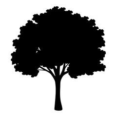Silhouette of a Lush Tree with Full Canopy on White Background