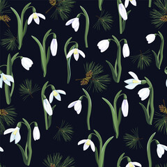 Delicate snowdrops and spruce branch on a black background. Seamless vector illustration. For decorating textiles, packaging, wallpapers.