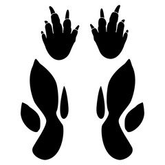 kangaroo footprint, Australian animal kangaroo foot paw. 
