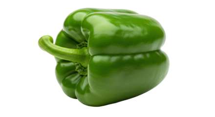 Isolated green bell pepper
