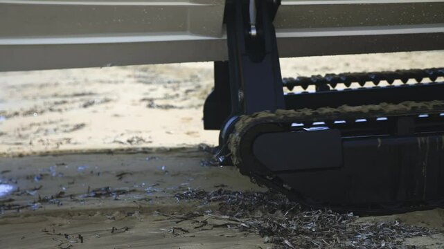 Amphibious vehicle moves on golden sand with visible seaweed washed ashore during beach maintenance or patrol