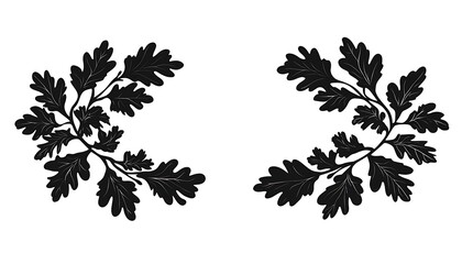 Floral Border Design (1)