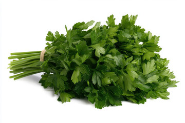 Fototapeta premium Fresh parsley ingredients isolated on a sea standard culinary inspiration food photography natural environment close-up view herb use in cooking