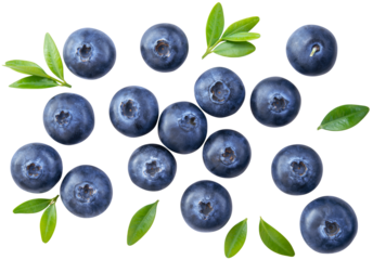 Blueberry isolated png. Blueberry with leaves top view on transparent background. Perfect retouched blueberry no background. Png blueberries collection. Full depth of field.