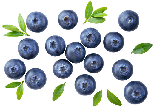 Blueberry isolated png. Blueberry with leaves top view on transparent background. Perfect retouched blueberry no background. Png blueberries collection. Full depth of field. - Powered by Adobe