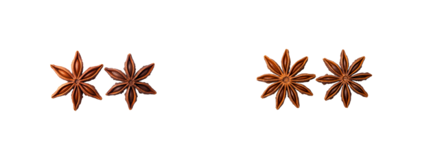 Unique star anise pods arranged on a transparent background