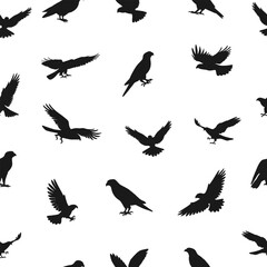 Obraz premium Seamless pattern showcasing falcon silhouettes in dynamic poses