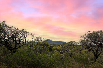 View at West Mount Barren in the Fitzgerald River National Park, Western Australia