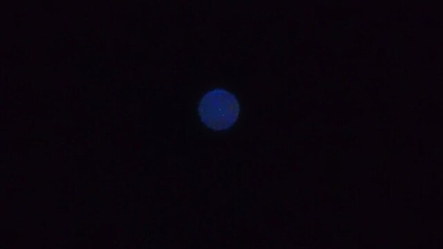 a colorfull star sirius in the night