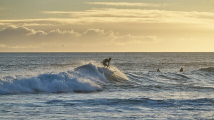 Surfers The Atlantic Coast Oeiras