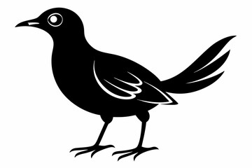 Bare-throated bellbird silhouette black vector