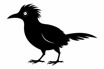 Bare-throated bellbird silhouette black vector