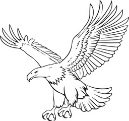 eagle vector illustration