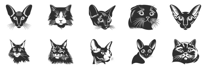Cat Breed Head Silhouette Set. Diverse Feline Faces For Pet Lovers And Design Projects. Isolated Vector Illustration Collection