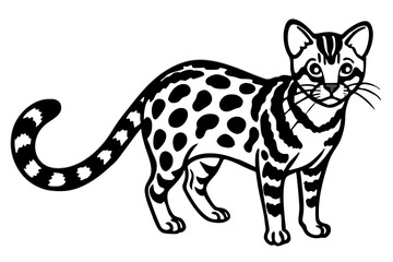 Margay Silhouette Design