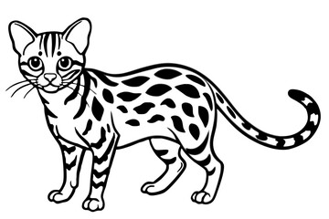Margay Silhouette Design