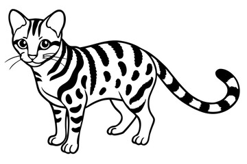 Margay Silhouette Design
