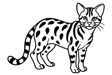 Margay Silhouette Design