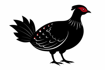 Temminck's tragopan silhouette black vector