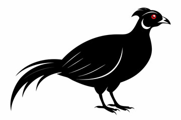 Temminck's tragopan silhouette black vector