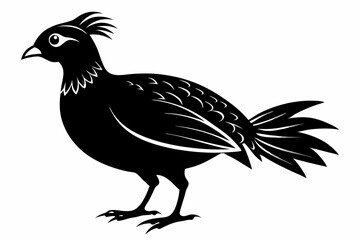 Temminck's tragopan silhouette black vector