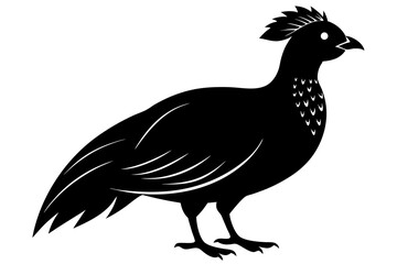 Temminck's tragopan silhouette black vector