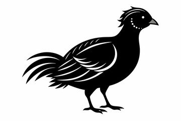 Temminck's tragopan silhouette black vector