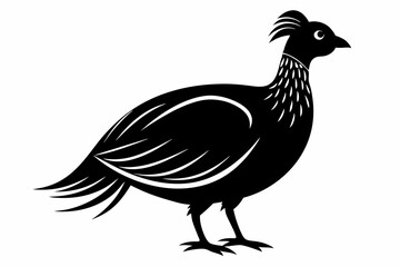 Fototapeta premium Temminck's tragopan silhouette black vector