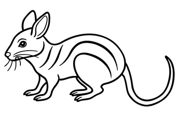 Fototapeta premium Minimal Jerboa Line Art