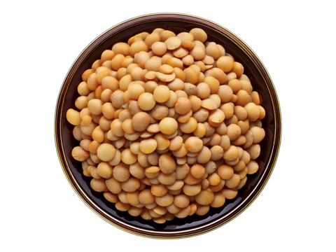 Overhead shot of a dark bowl filled with cooked yellow lentils.  Perfect for culinary, healthy eating, or vegetarian recipe websites and blogs.  High-resolution image ideal for print or digital use.