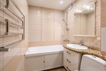 interior apartment room bathroom, sink, decorative elements, toilet