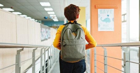 School, hallway and back of boy with backpack walking for studying, classroom and learning. Students, campus and rear view of kid in corridor with bag for education, academy and knowledge in morning