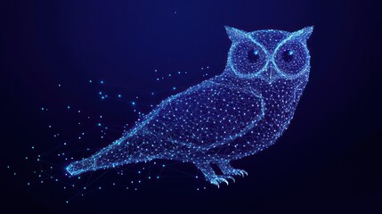 Abstract Owl in Digital Network Design