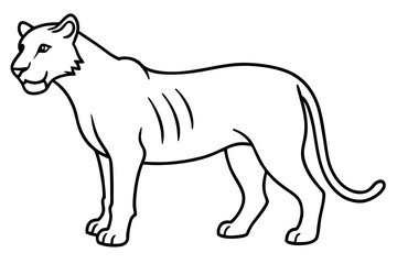  Minimal Liger Line Art
