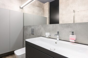 interior apartment room bathroom, sink, decorative elements, toilet