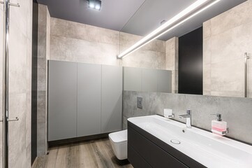 interior apartment room bathroom, sink, decorative elements, toilet