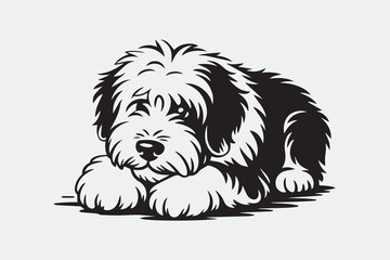fluffy dog illustration vector