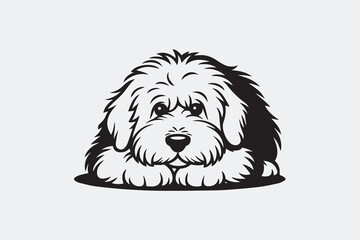 fluffy dog illustration vector
