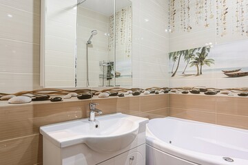 interior apartment room bathroom, sink, decorative elements, toilet