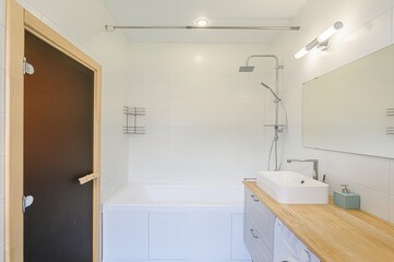interior apartment room bathroom, sink, decorative elements, toilet