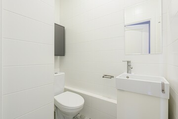 interior apartment room bathroom, sink, decorative elements, toilet
