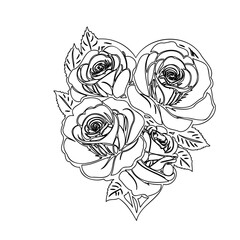 Four Roses Sketch Bouquet on White Backdrop
