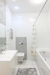 interior apartment room bathroom, sink, decorative elements, toilet