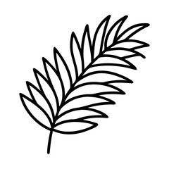 Vector outline drawing of palm leaf tropical plant design element illustration for print art