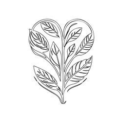 Heart-shaped leaves plant sketch illustration