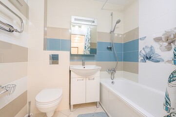 interior apartment room bathroom, sink, decorative elements, toilet