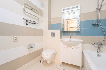 interior apartment room bathroom, sink, decorative elements, toilet