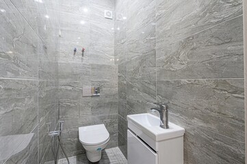 interior apartment room bathroom, sink, decorative elements, toilet