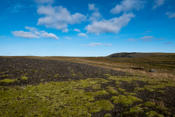 Icelandic landscape: mossy lava field under a cloudy sky.