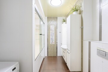 interior apartment room bathroom, sink, decorative elements, toilet